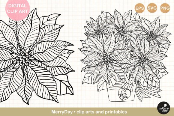 2 Poinsettia Christmas Flower Line Art Review