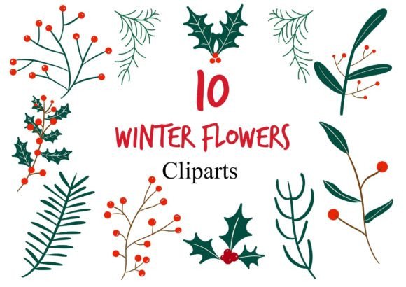 Winter Christmas Plant Clipart for Editorial and Web Design